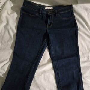 Classic Blue Women's Jeggings Size 29